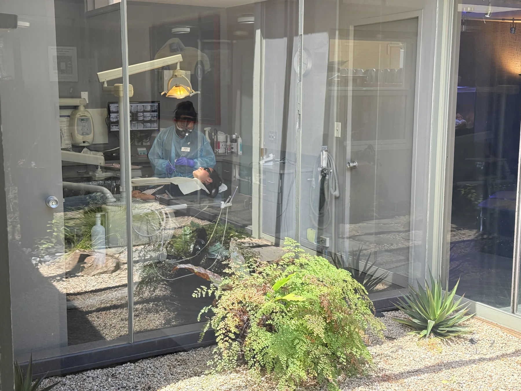 Garden-view operatory at Christopher B. Wong DDS in Palo Alto